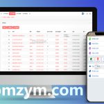 最新TG淘金网反波胆8.0版本现成系统源码